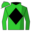 Runner silk