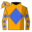 Runner silk
